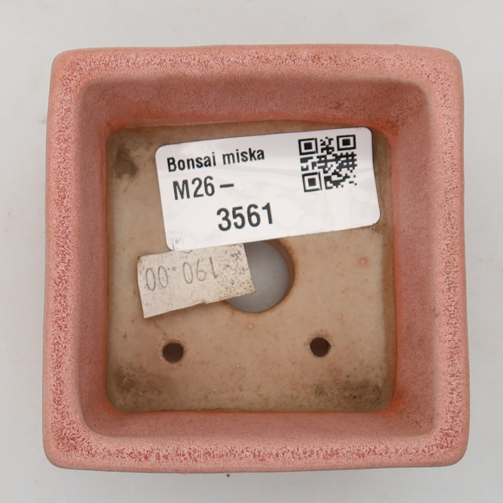 Vaso per bonsai in ceramica 7 x 7 x 3,5 cm, colore rosa