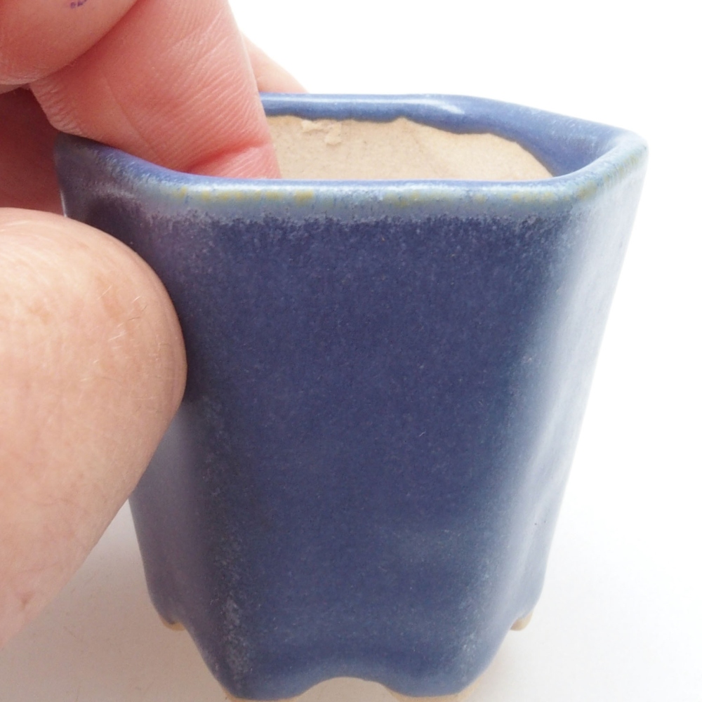 Mini bonsai 5 x 5 x 5 cm, colore blu
