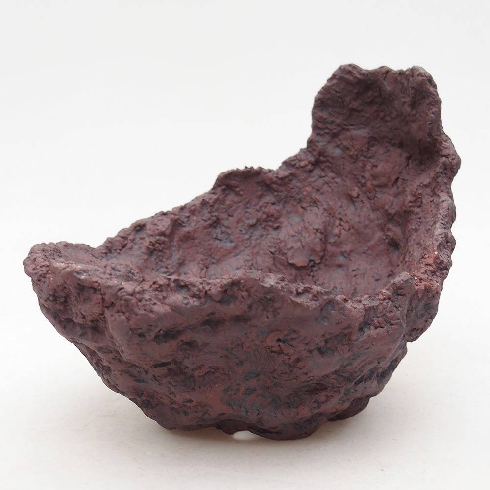 Conchiglia in ceramica 14 x 12,5 x 12 cm , colore marrone