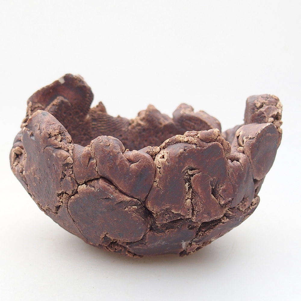 Conchiglia in ceramica 9 x 9 x 6 cm , colore marrone