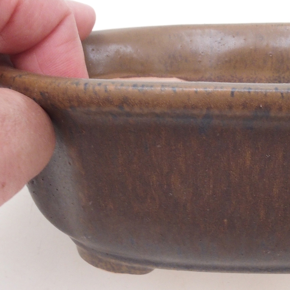 Ciotola per bonsai H31 - 14 x 12 x 5,5 cm - marrone