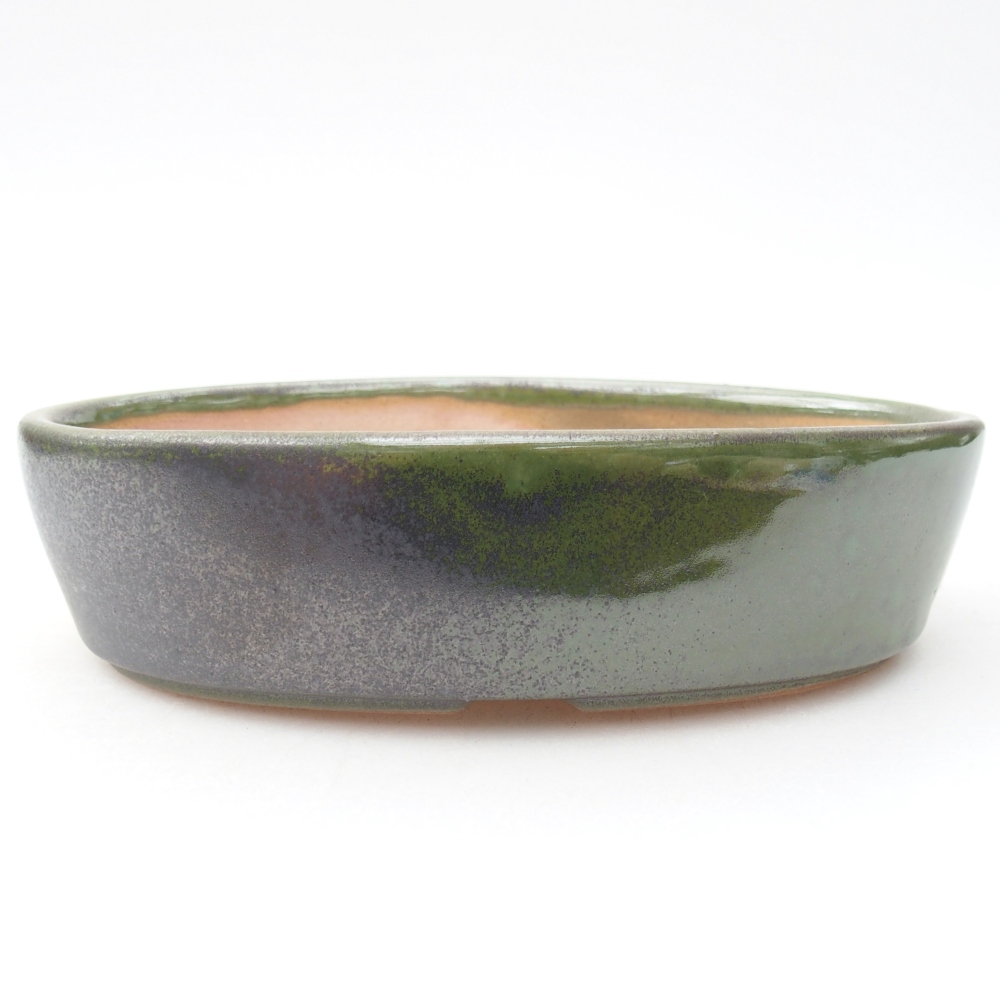 Ciotola per bonsai in ceramica 16,5 x 11,5 x 4,5 cm, verde
