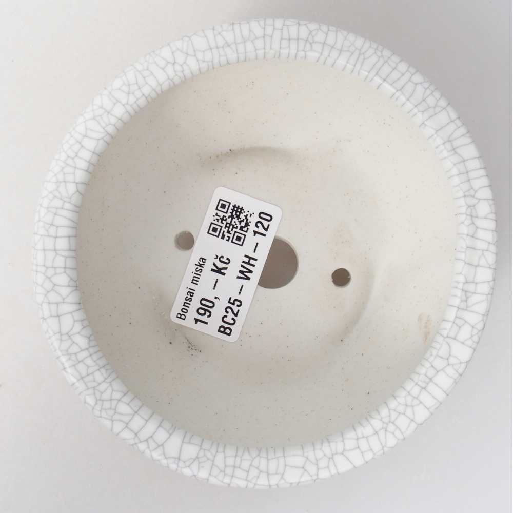 Ciotola bonsai in ceramica 11,5 x 11,5 x 4,5 cm, colore raku