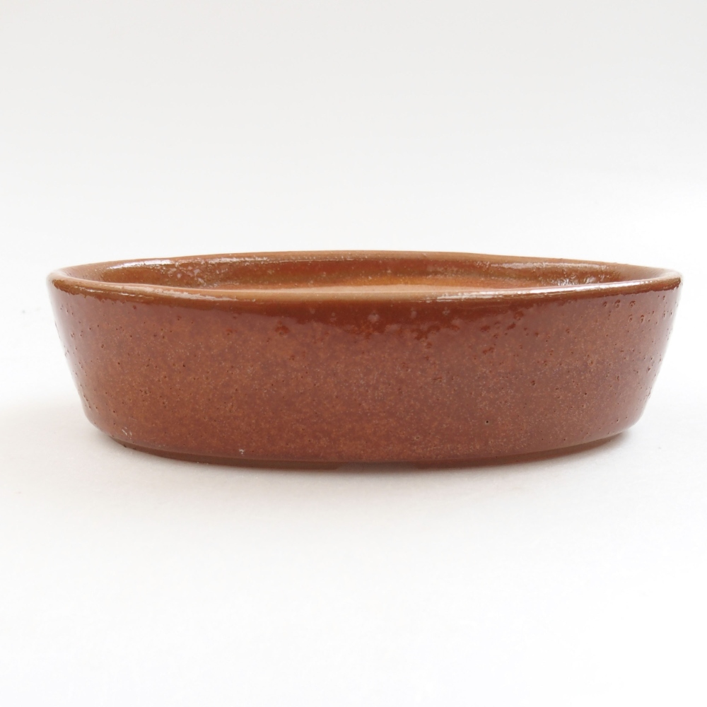 Ciotola bonsai in ceramica 22 x 17 x 5 cm, verde