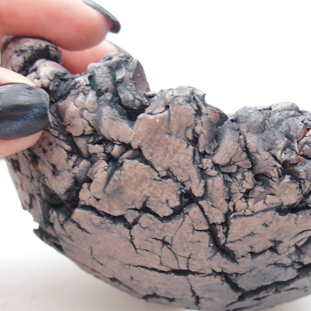 Conchiglia in ceramica 11 x 10,5 x 7 cm , colore verde