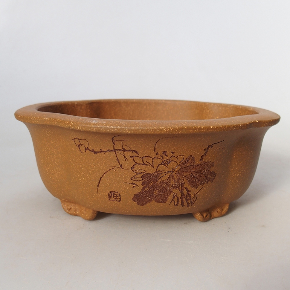 Ciotola per bonsai in ceramica 15,5 x 13 x 6 cm, colore ocra