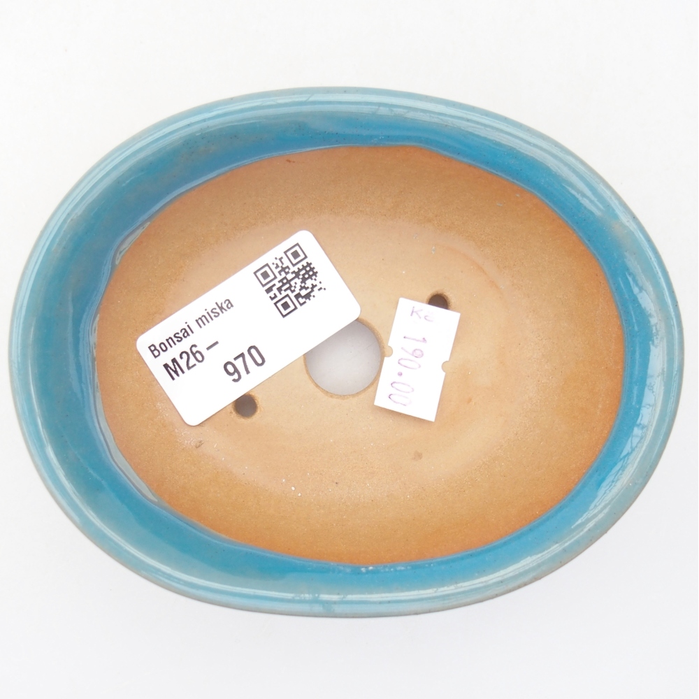 Ciotola bonsai in ceramica 11 x 8,5 x 4 cm, colore blu
