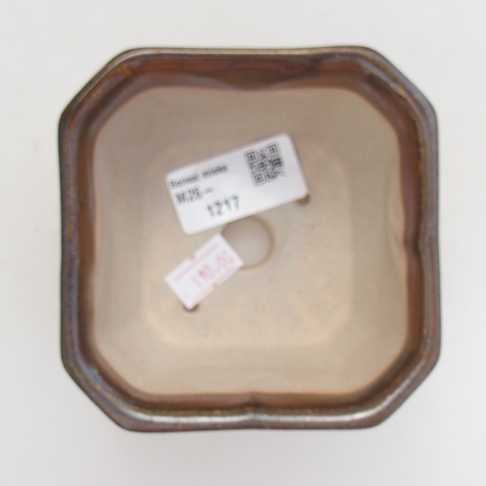 Ciotola per bonsai in ceramica 10 x 10 x 6 cm, marrone