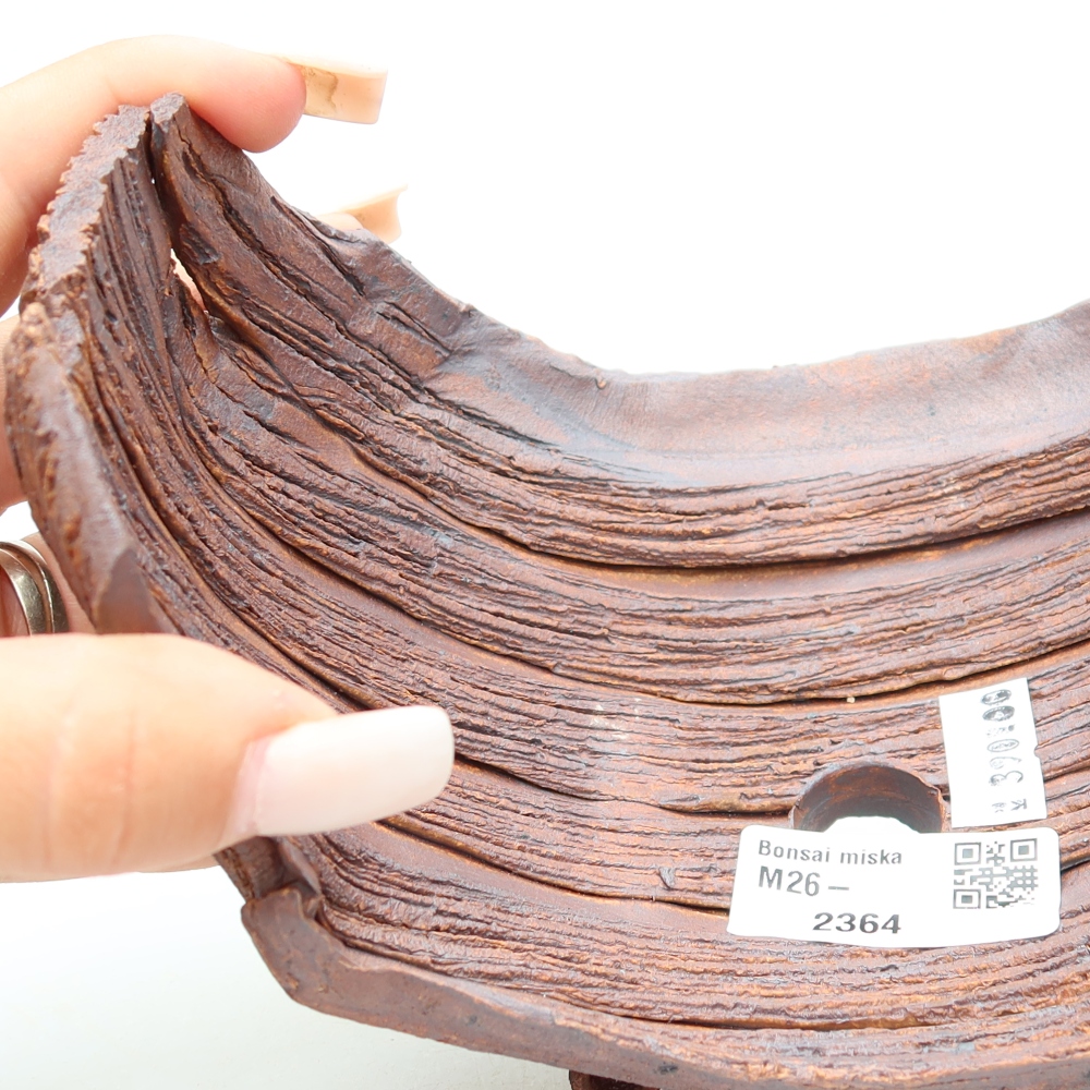 Conchiglia in ceramica  17 x 11,5 x 11,5 cm, colore marrone
