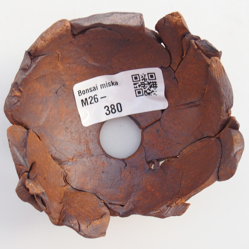 Guscio in ceramica 8,5 x 8,5 x 5,5 cm , colore marrone