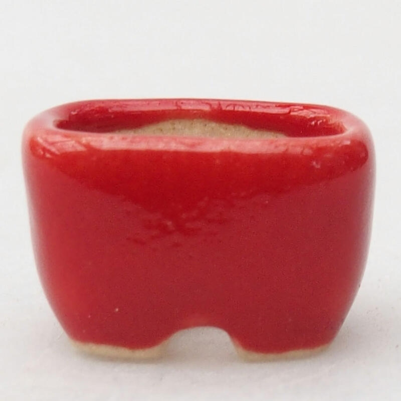 Ciotola per mini bonsai 1,5 x 1 x 1 cm, colore rosso