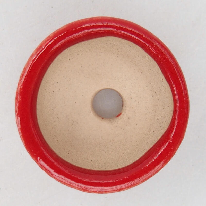 Mini bonsai 2,5 x 2,5 x 1,5 cm, colore rosso