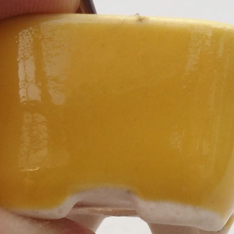 Mini bonsai 2,5 x 2,5 x 1,5 cm, giallo