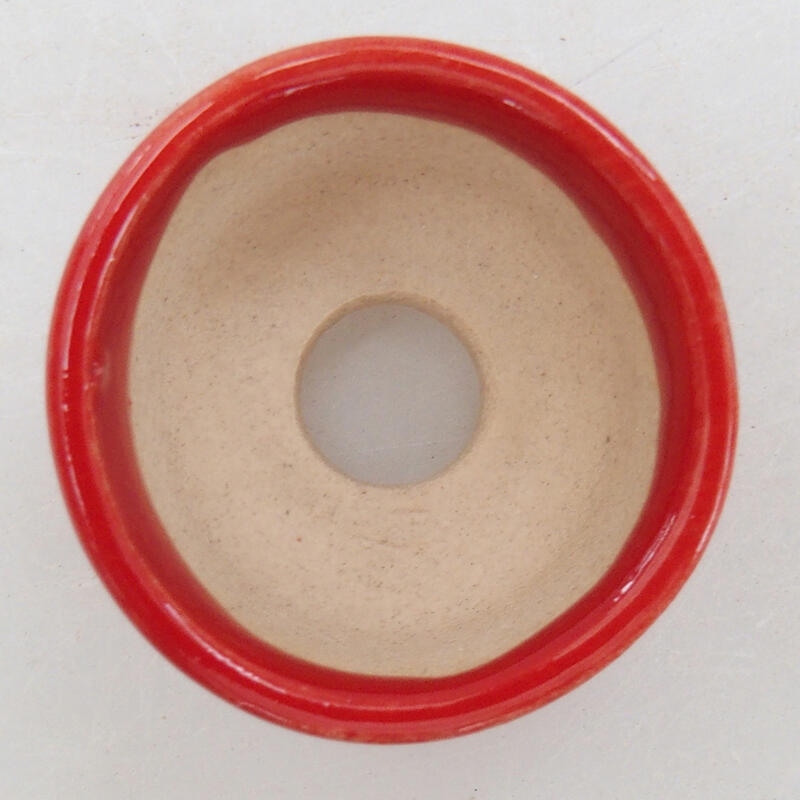 Mini bonsai 2,5 x 2,5 x 2 cm, colore rosso