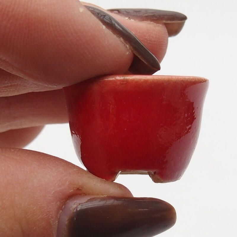 Mini bonsai 2 x 2 x 1,5 cm, colore rosso