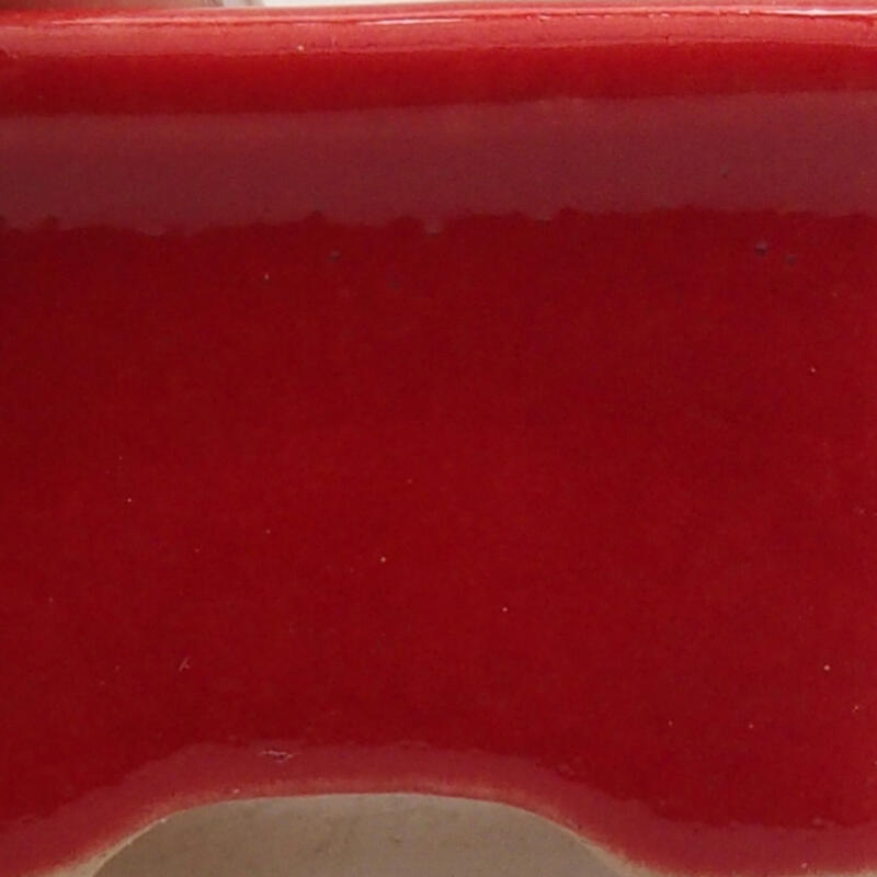 Mini bonsai 3,5 x 2,5 x 2 cm, colore rosso