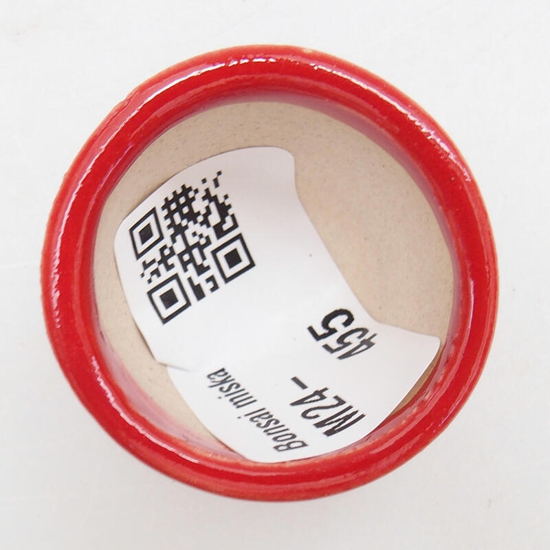 Mini bonsai 3,5 x 3,5 x 2,5 cm, colore rosso