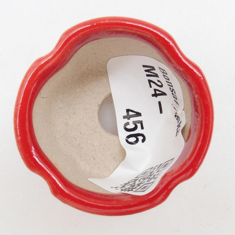 Mini bonsai 3,5 x 3,5 x 2,5 cm, colore rosso