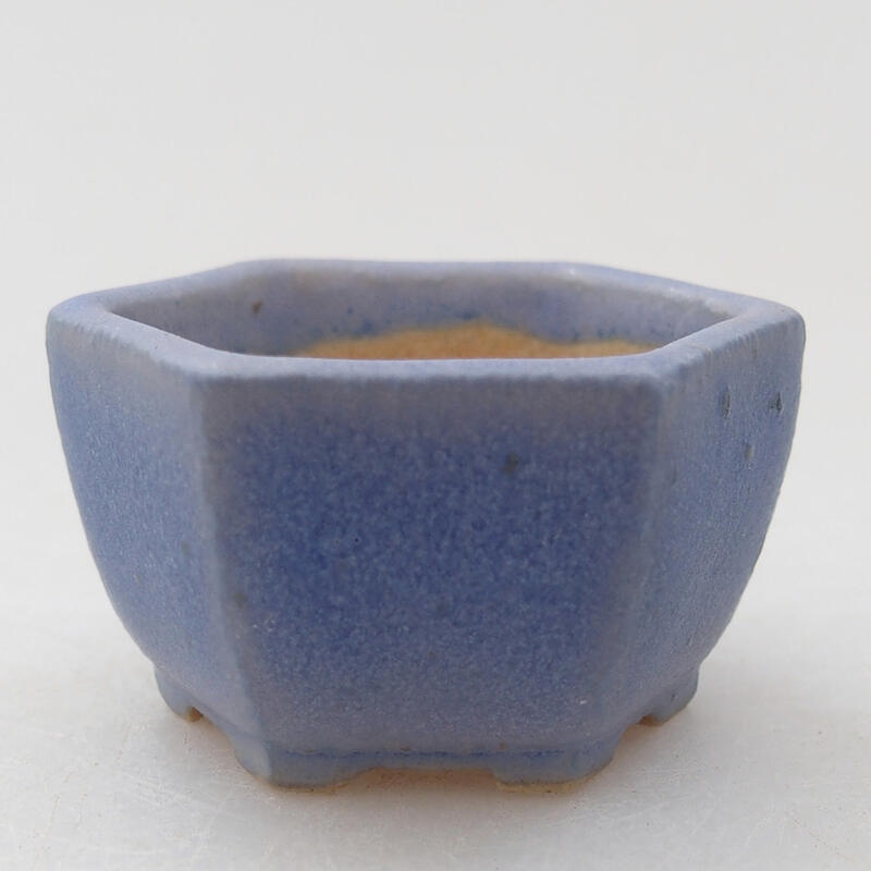 Mini bonsai 3,5 x 3,5 x 2,5 cm, colore blu