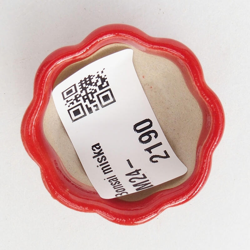 Mini bonsai 3,5 x 3,5 x 2 cm, colore rosso