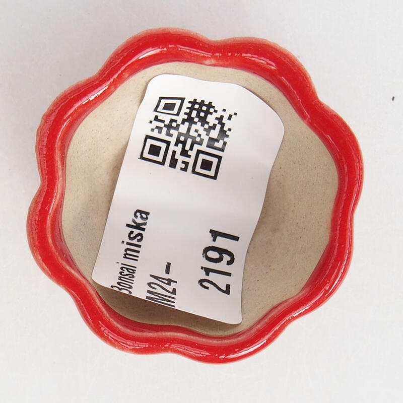 Mini bonsai 3,5 x 3,5 x 2 cm, colore rosso