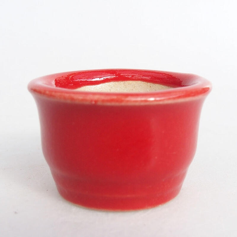 Mini bonsai 3,5 x 3,5 x 2 cm, colore rosso