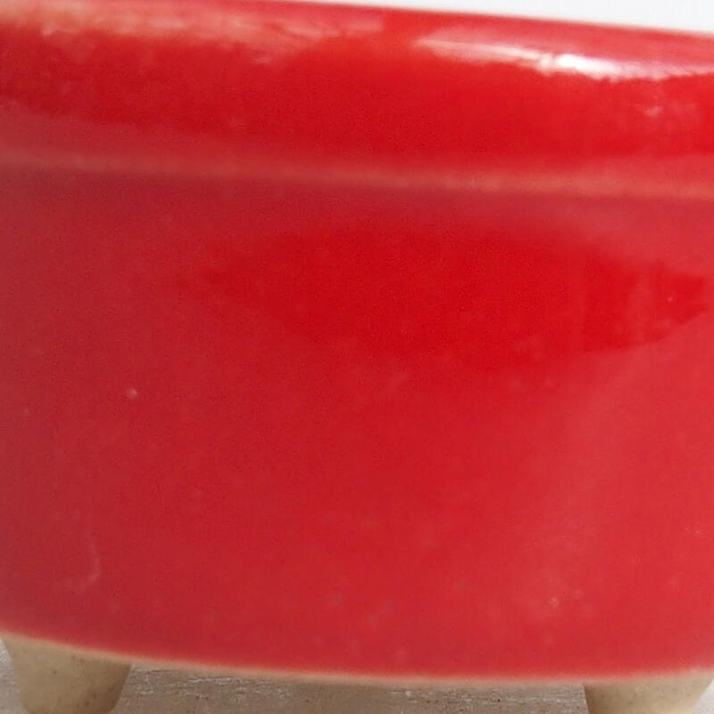 Mini bonsai 3,5 x 3,5 x 2 cm, colore rosso