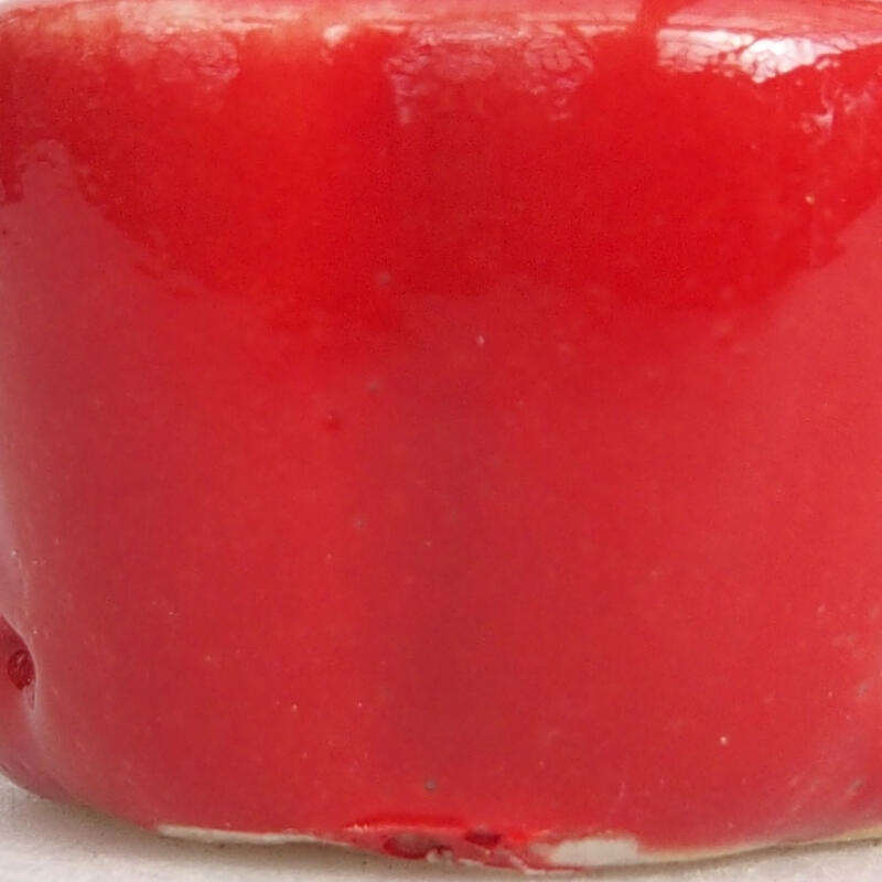 Mini bonsai 3,5 x 3,5 x 2 cm, colore rosso