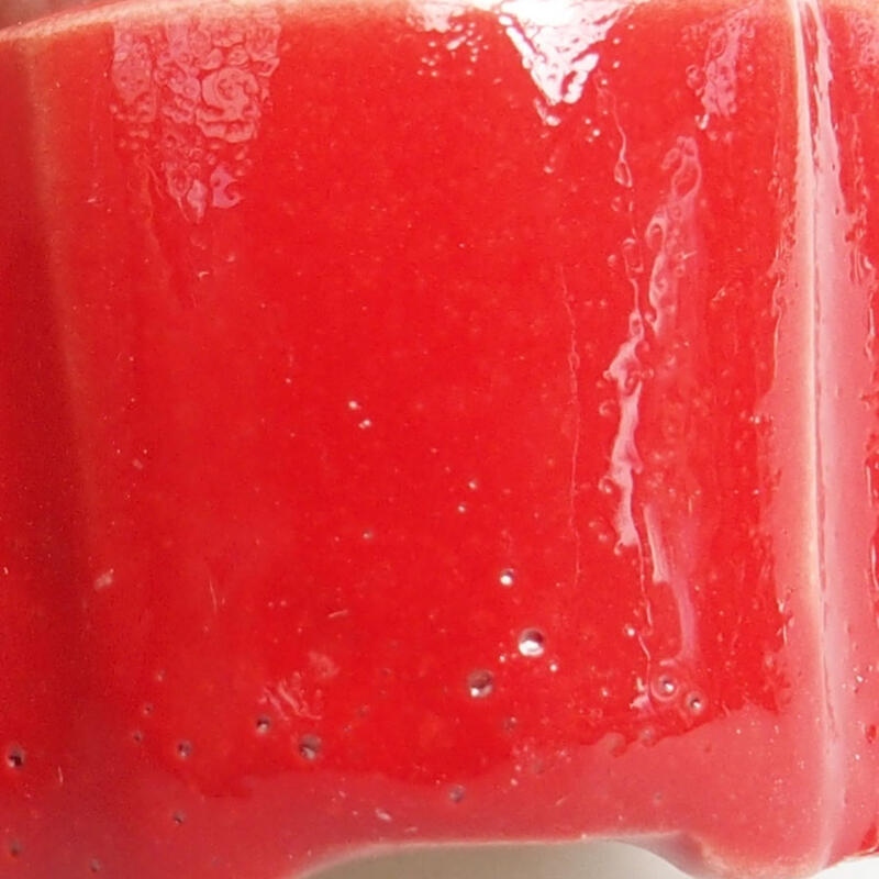 Mini bonsai 3,5 x 3,5 x 2 cm, colore rosso