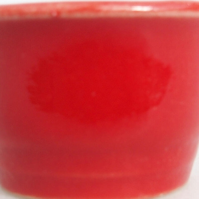 Mini bonsai 3,5 x 3,5 x 2 cm, colore rosso