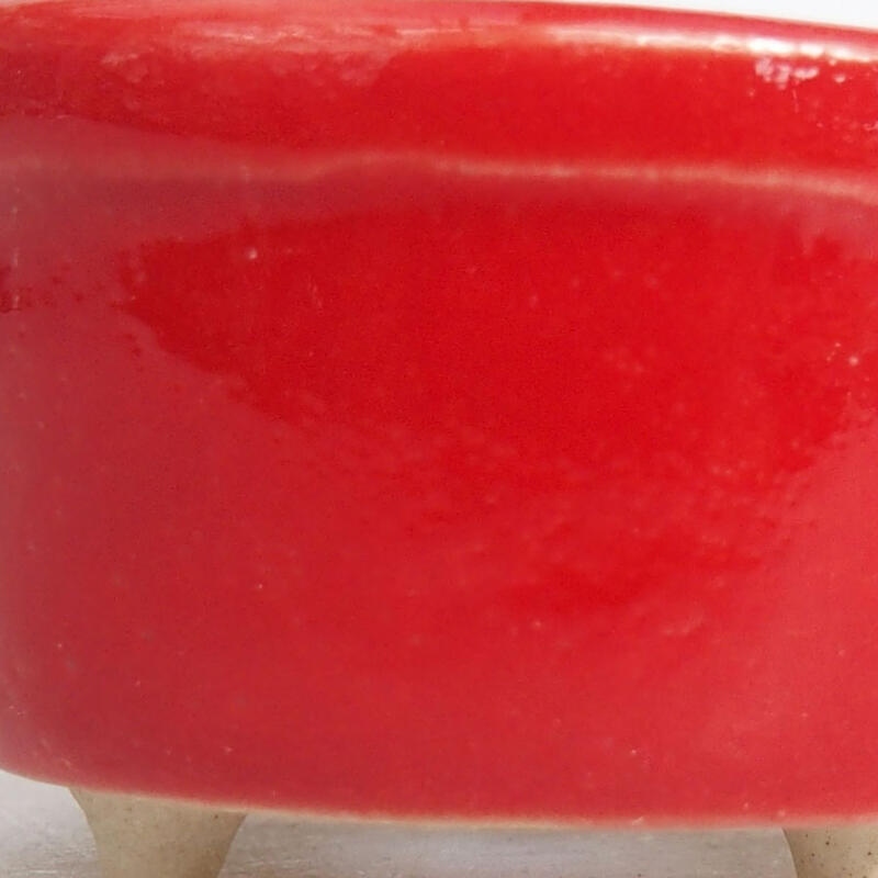 Mini bonsai 3,5 x 3,5 x 2 cm, colore rosso