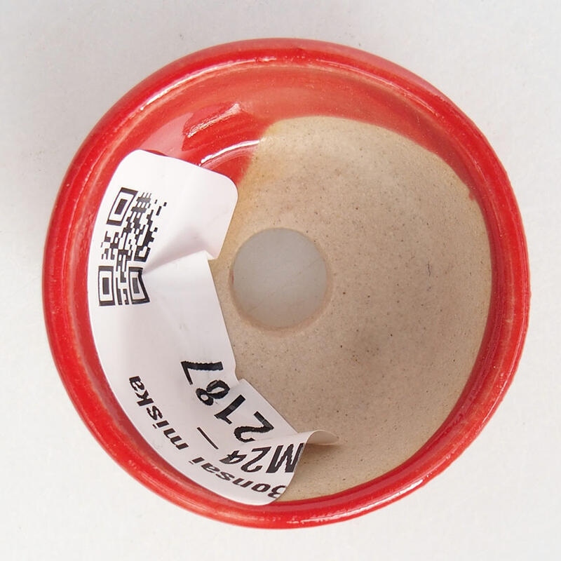 Mini bonsai 3,5 x 3,5 x 2 cm, colore rosso