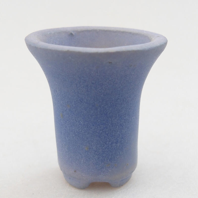 Mini bonsai 3,5 x 3,5 x 3,5 cm, colore blu