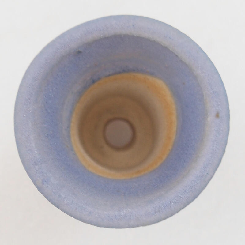 Mini bonsai 3,5 x 3,5 x 3,5 cm, colore blu