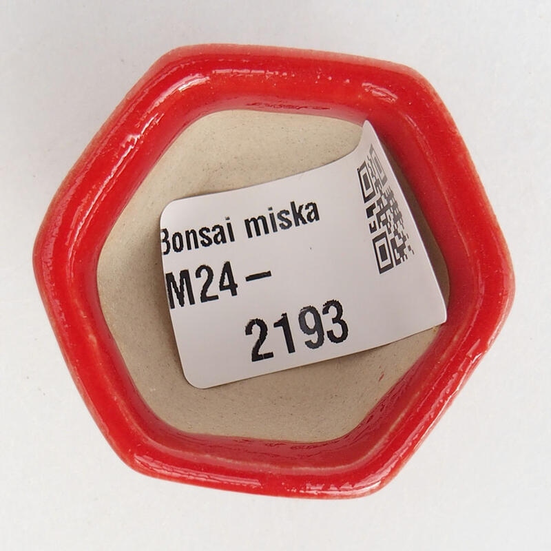 Mini bonsai 3,5 x 3,5 x 3 cm, colore rosso