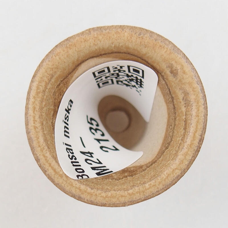 Ciotola per mini bonsai 3,5 x 3,5 x 4 cm, marrone