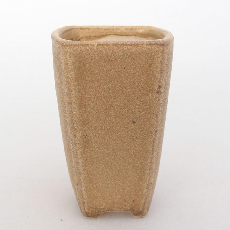 Mini bonsai 3,5 x 3,5 x 5,5 cm, marrone