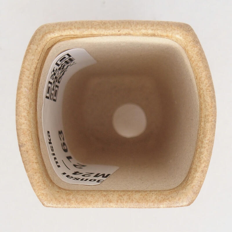 Mini bonsai 3,5 x 3,5 x 5,5 cm, marrone