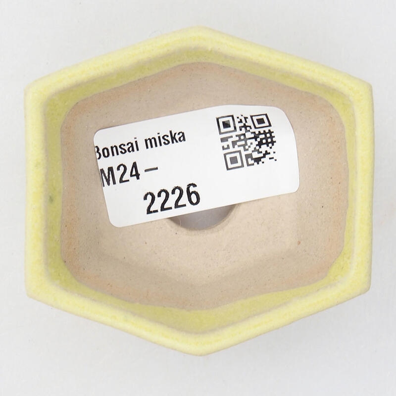 Mini bonsai 3,5 x 3,5 x 5,5 cm, giallo