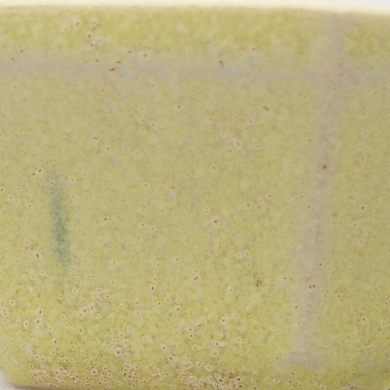 Mini bonsai 3,5 x 3,5 x 5,5 cm, giallo