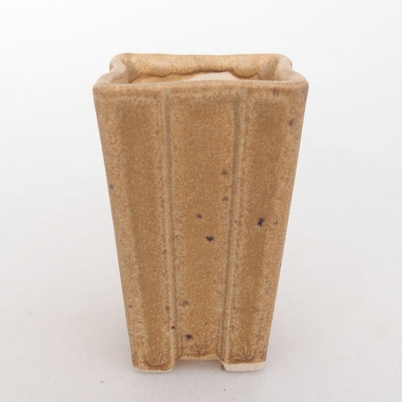 Mini bonsai 3,5 x 3,5 x 6 cm, marrone