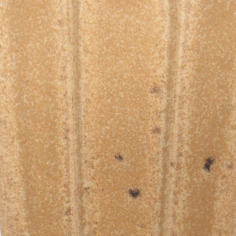 Mini bonsai 3,5 x 3,5 x 6 cm, marrone