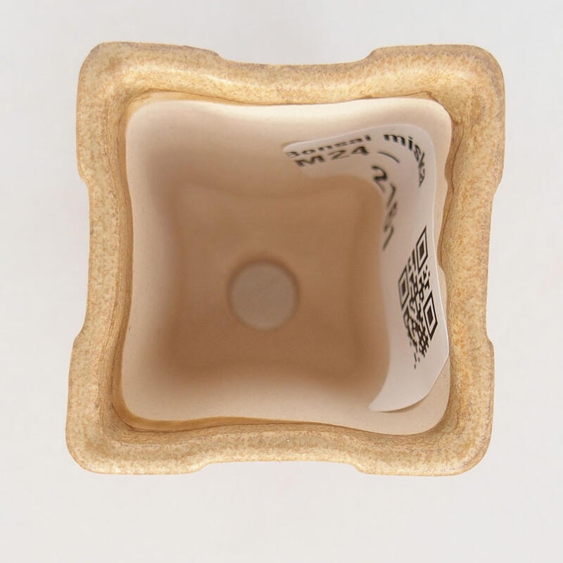 Mini bonsai 3,5 x 3,5 x 6 cm, marrone