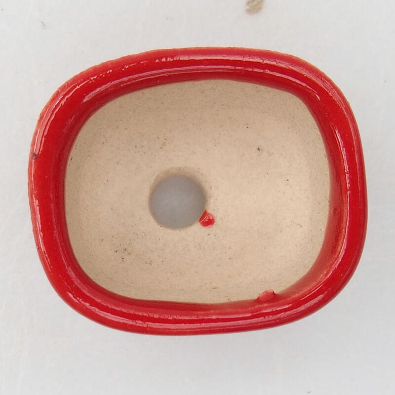 Mini bonsai 3 x 2,5 x 1,5 cm, colore rosso