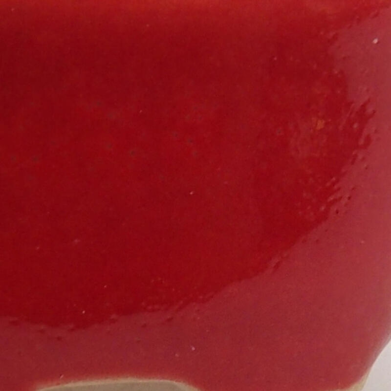 Mini bonsai 3 x 2,5 x 1,5 cm, colore rosso