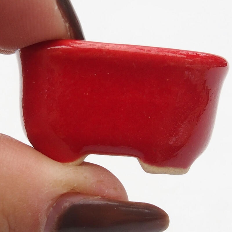 Mini bonsai 3 x 2,5 x 1,5 cm, colore rosso