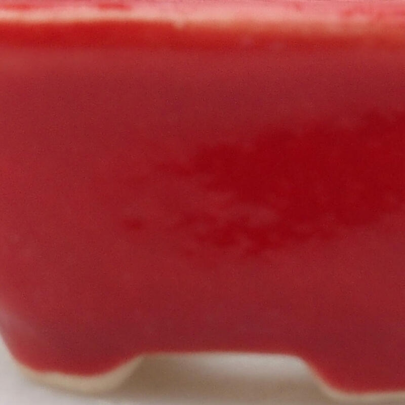 Mini bonsai 3 x 3 x 1,5 cm, colore rosso