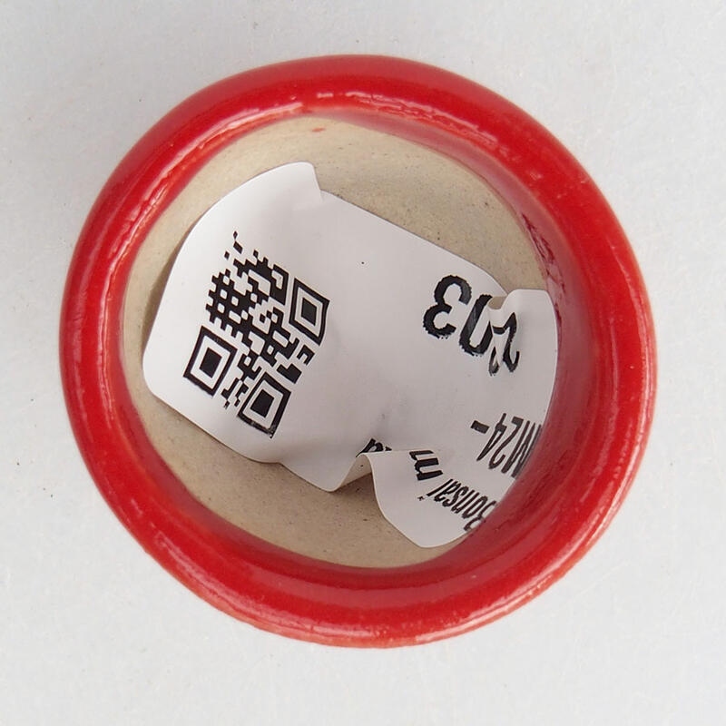 Mini bonsai 3 x 3 x 2,5 cm, colore rosso