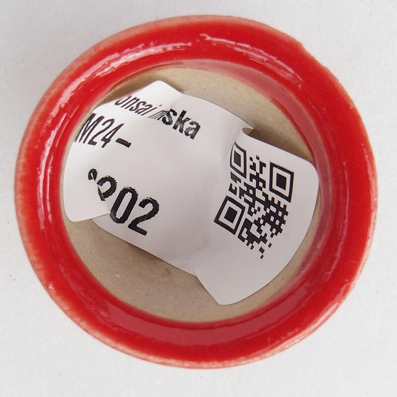 Mini bonsai 3 x 3 x 2,5 cm, colore rosso