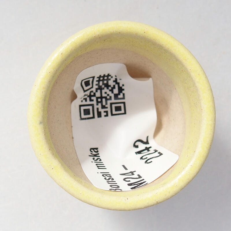 Mini bonsai 3 x 3 x 2,5 cm, giallo